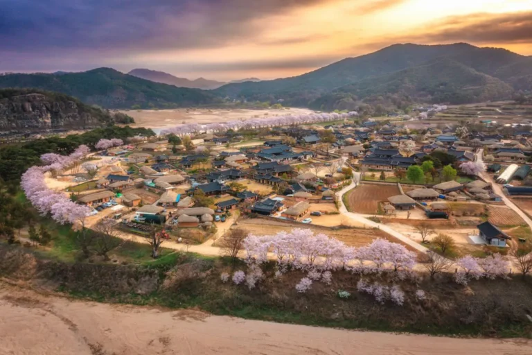Andong Hahoe Village UNESCO Cultural Day Tour From Busan｜hahoe Village, Confucian Academies