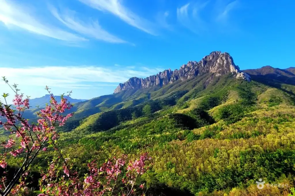 설악산 울산바위의 봄
