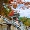 Autumn at Bulguksa Temple