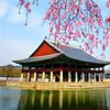 Gyeongbokgung Palace spring
