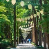Metasequoia Road