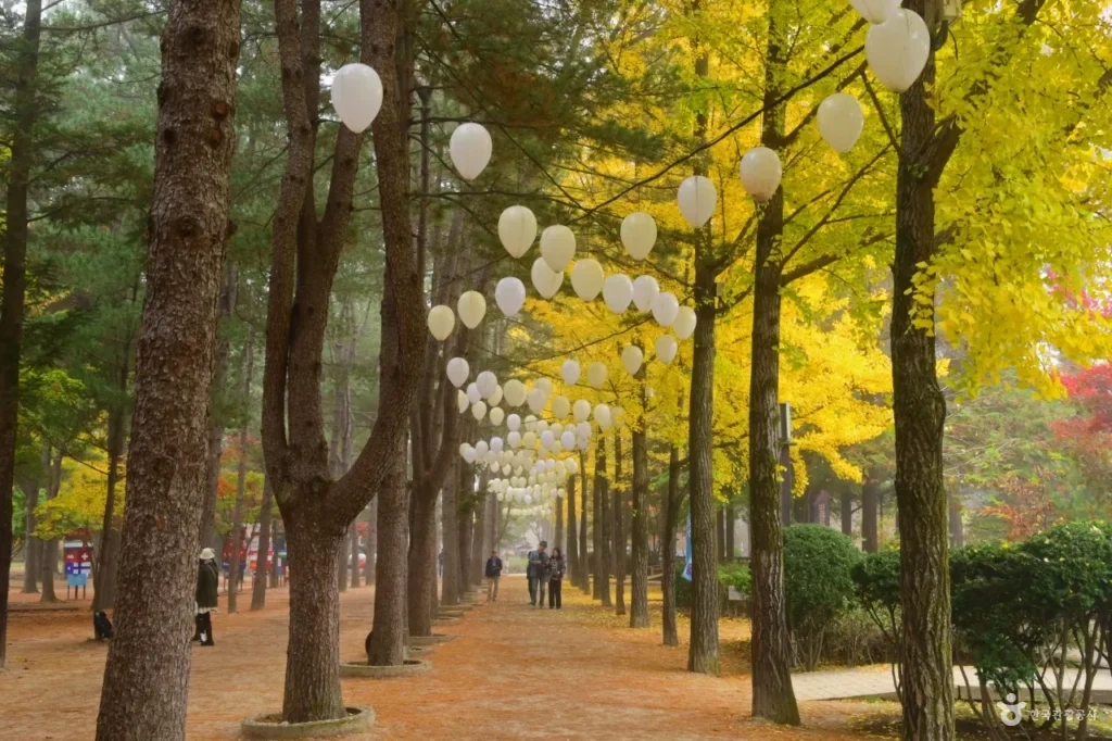 남이섬 가을의 가로수길