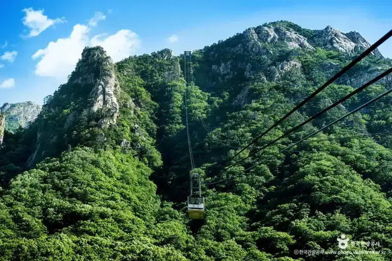 Nami Island & Seoraksan Cable Car Day Trip from Seoul: Sokcho Private Tour