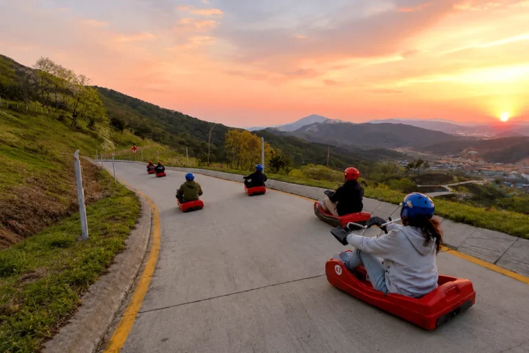 Ganghwa Day Trip from Seoul | DMZ View, Luge & Aegibong Private Tour