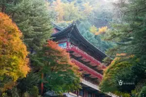 A Korean temple nestled among autumn trees