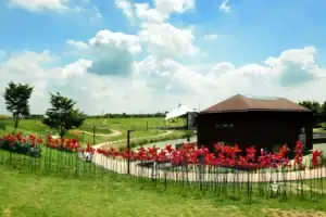 Pyeonghwa Nuri Park