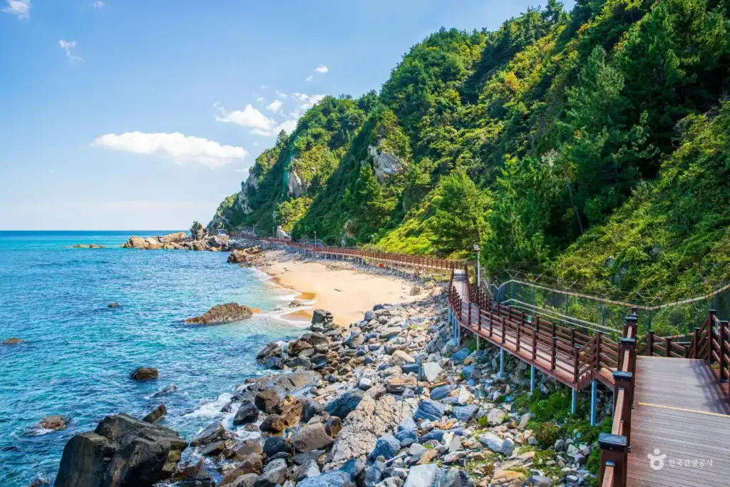 Jeongdong-Simgok Badabuchae-gil Trail