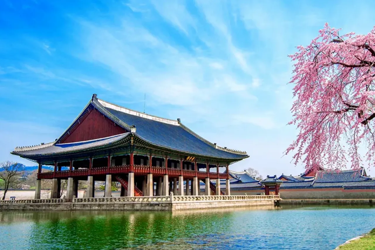 Gyeongbokgung Spring