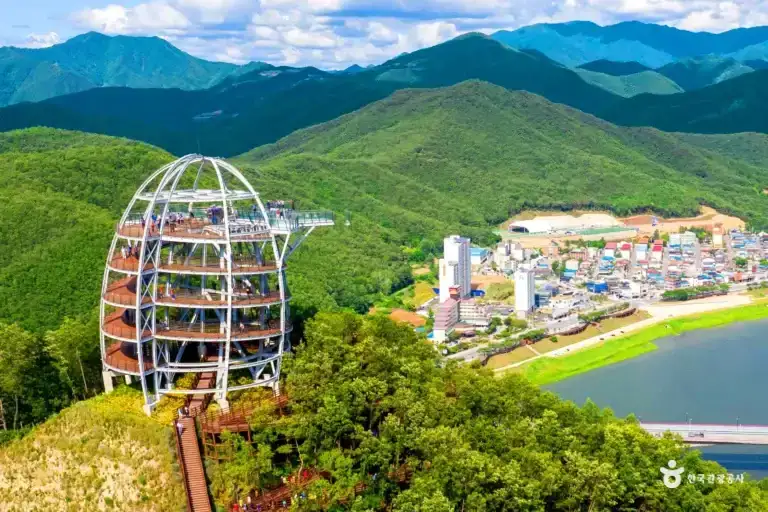 Danyang Day Trip from Seoul | Guinsa Temple & Skywalk Private Tour