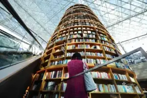 COEX Starfield Library