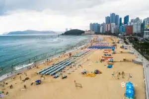 Colorful parasols on Haeundae beach